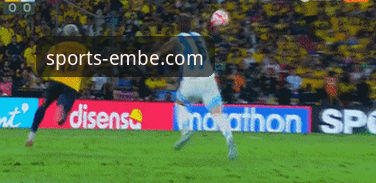 阿根廷新星重伤无缘世界杯：在易倍体育平台深度追踪球星动态的实用教程